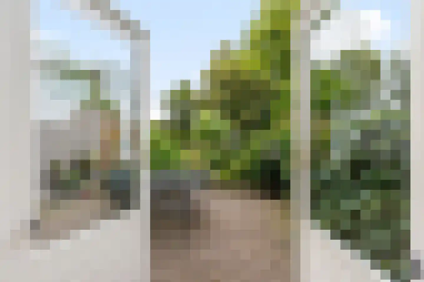 Van Pallandtstraat 42 Arnhem thumbnail 14