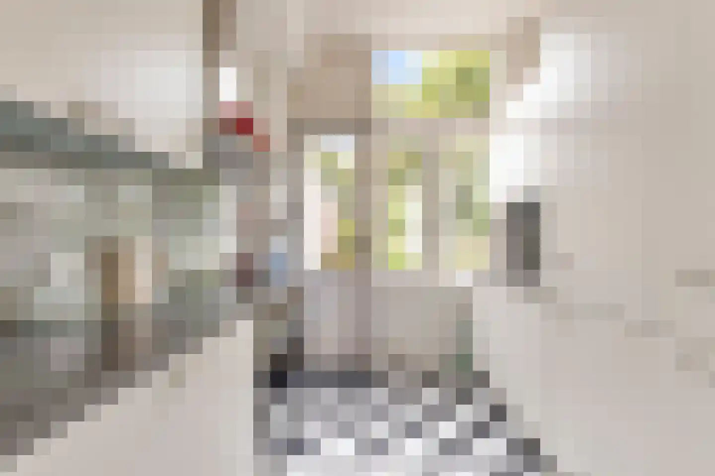 Van Pallandtstraat 42 Arnhem thumbnail 15