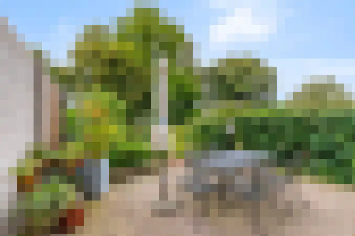 Van Pallandtstraat 42 Arnhem thumbnail 17