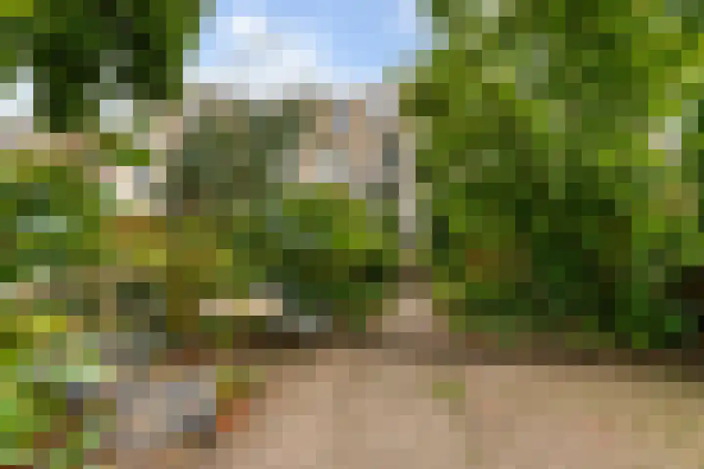 Van Pallandtstraat 42 Arnhem thumbnail 20