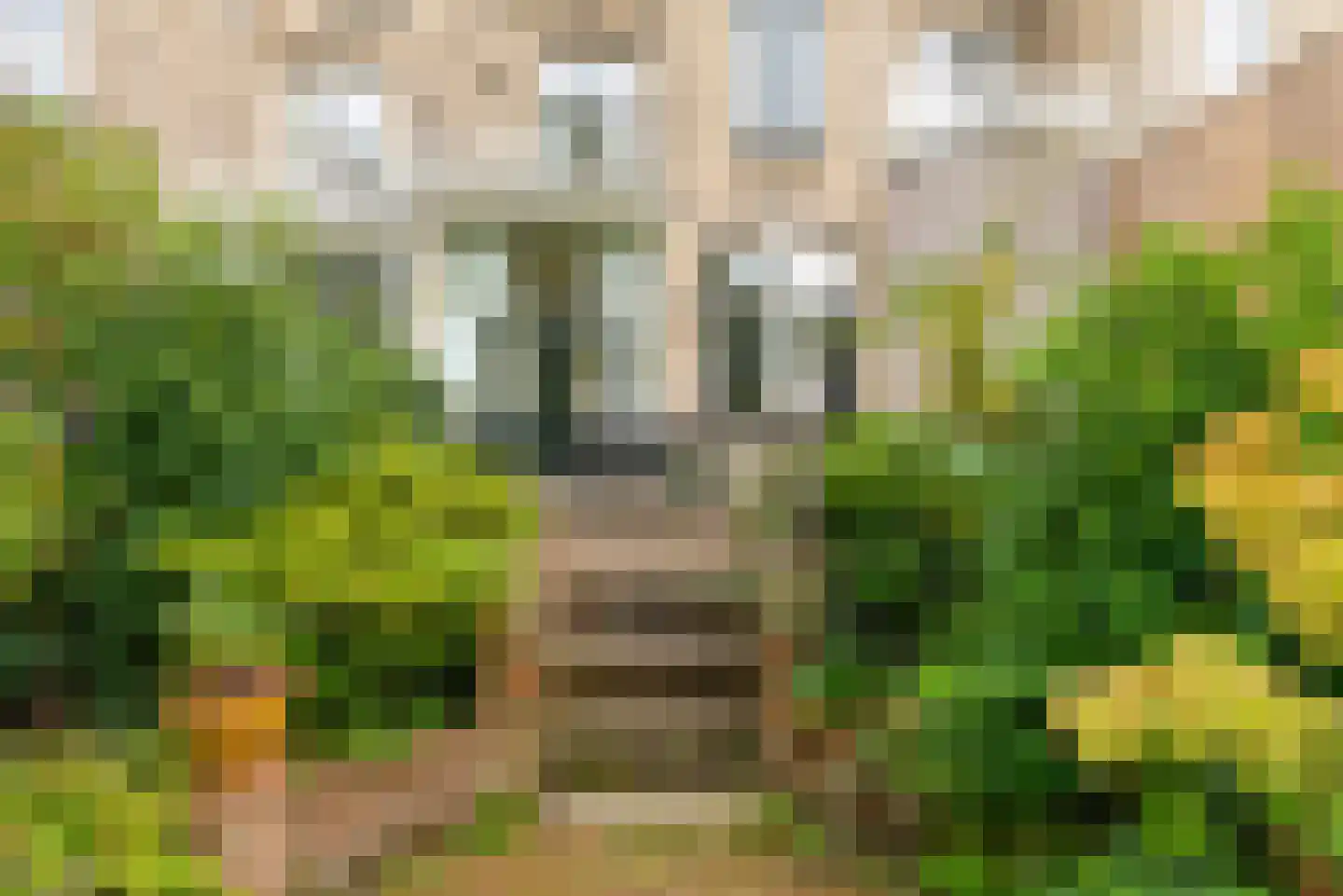 Van Pallandtstraat 42 Arnhem thumbnail 22