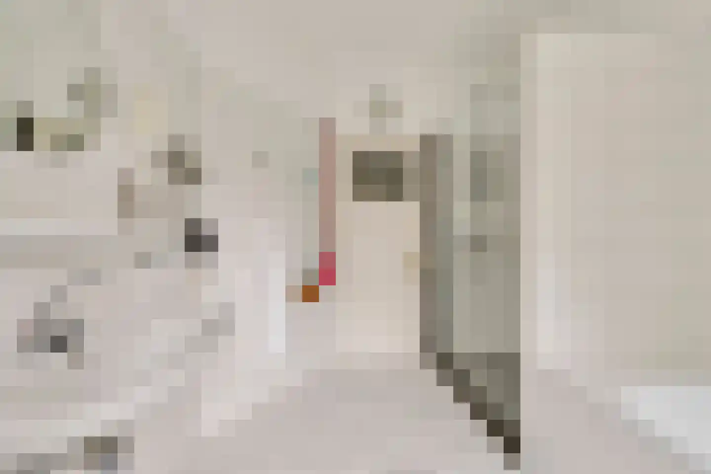 Van Pallandtstraat 42 Arnhem thumbnail 35