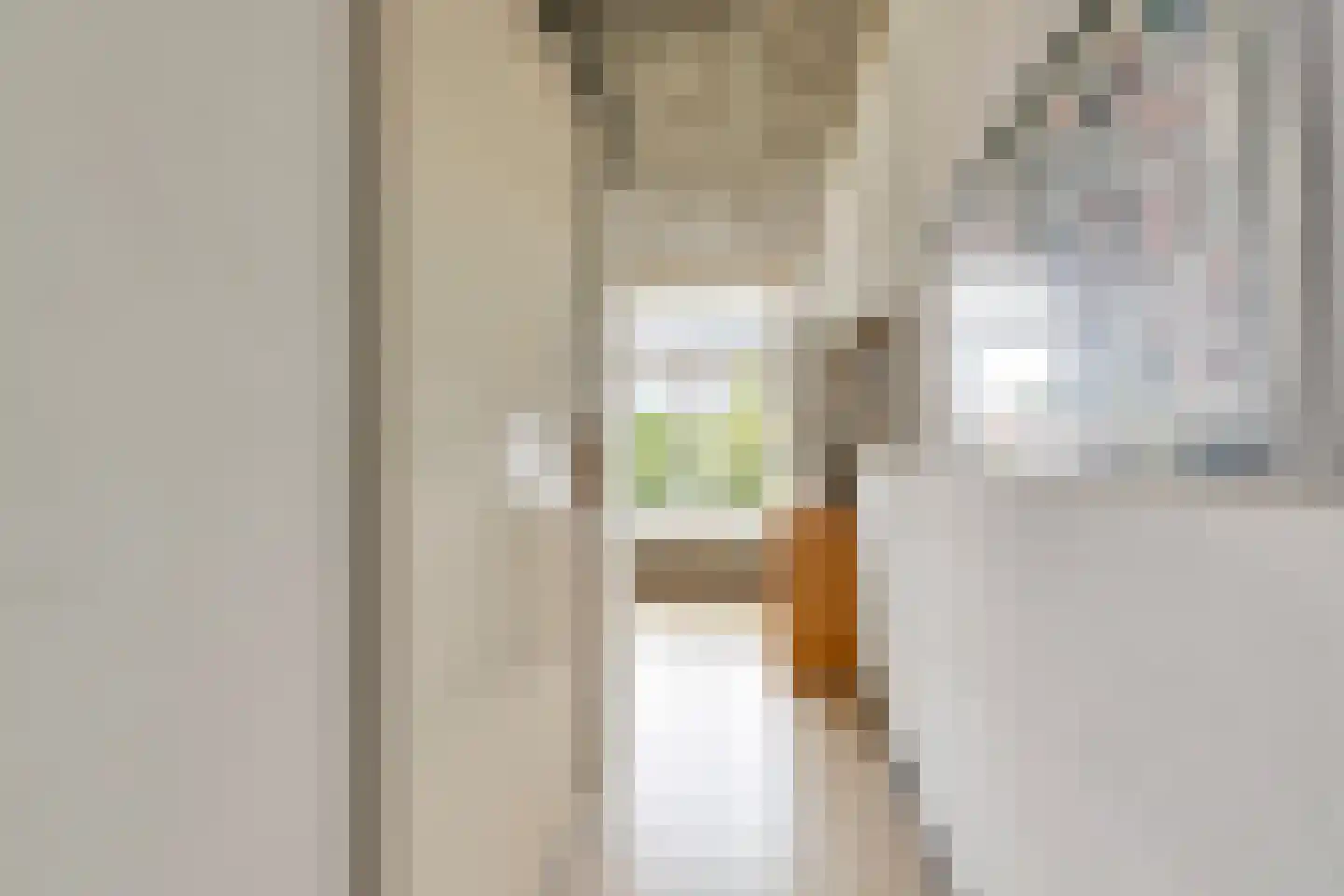 Van Pallandtstraat 42 Arnhem thumbnail 47
