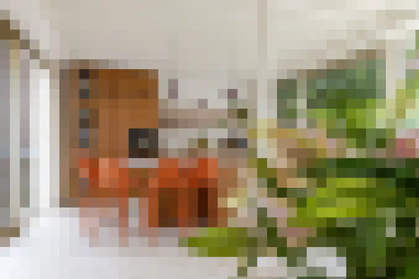 Van Pallandtstraat 43 Arnhem thumbnail 12