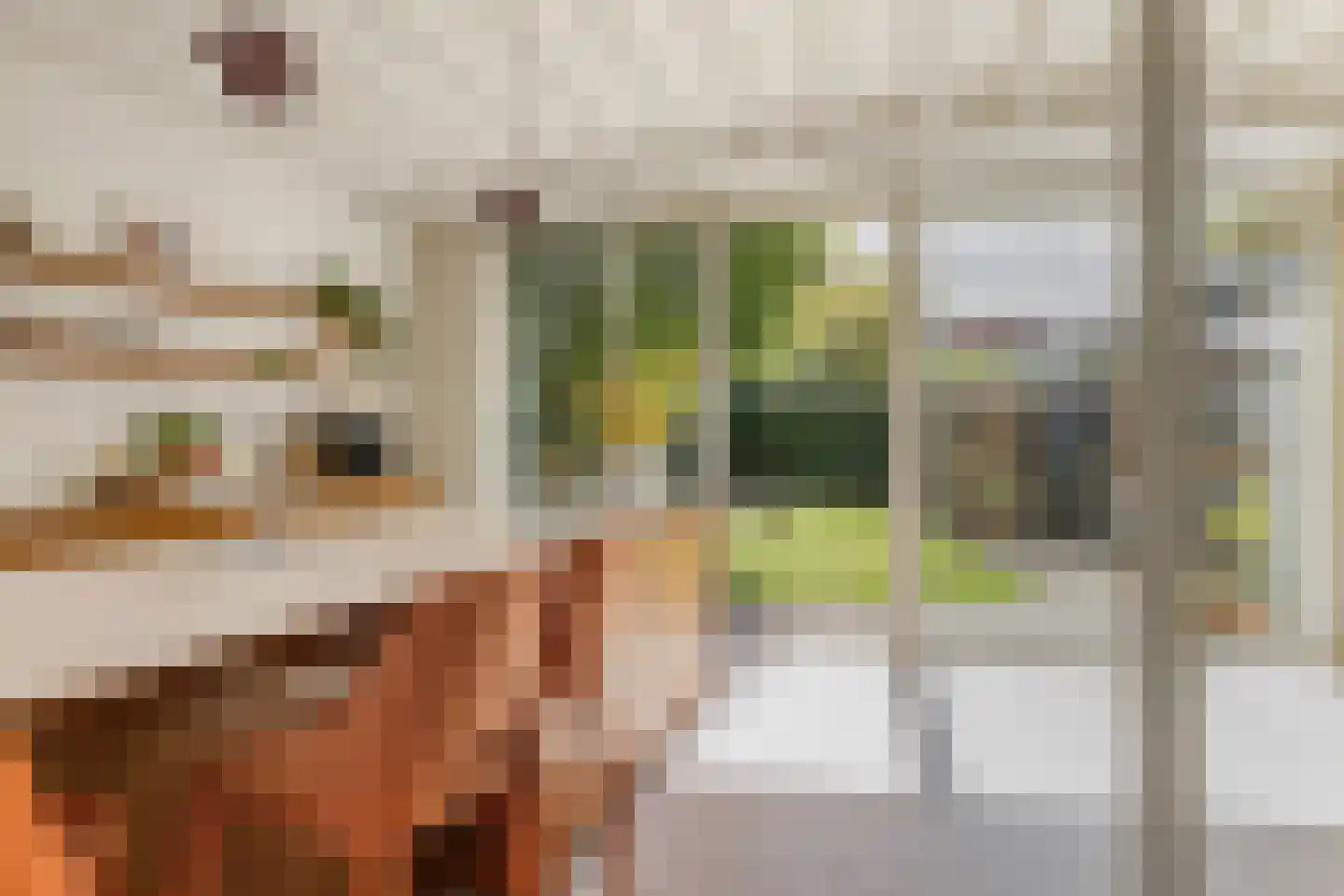 Van Pallandtstraat 43 Arnhem thumbnail 16