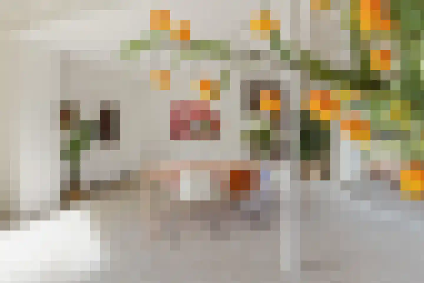 Van Pallandtstraat 43 Arnhem thumbnail 21