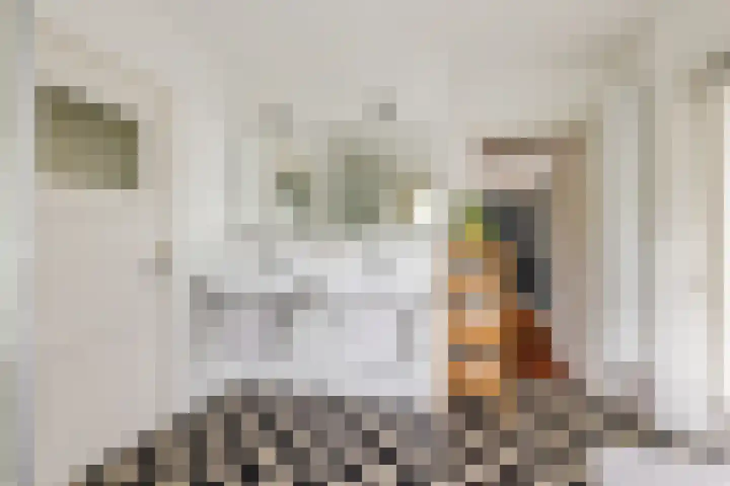 Van Pallandtstraat 43 Arnhem thumbnail 39