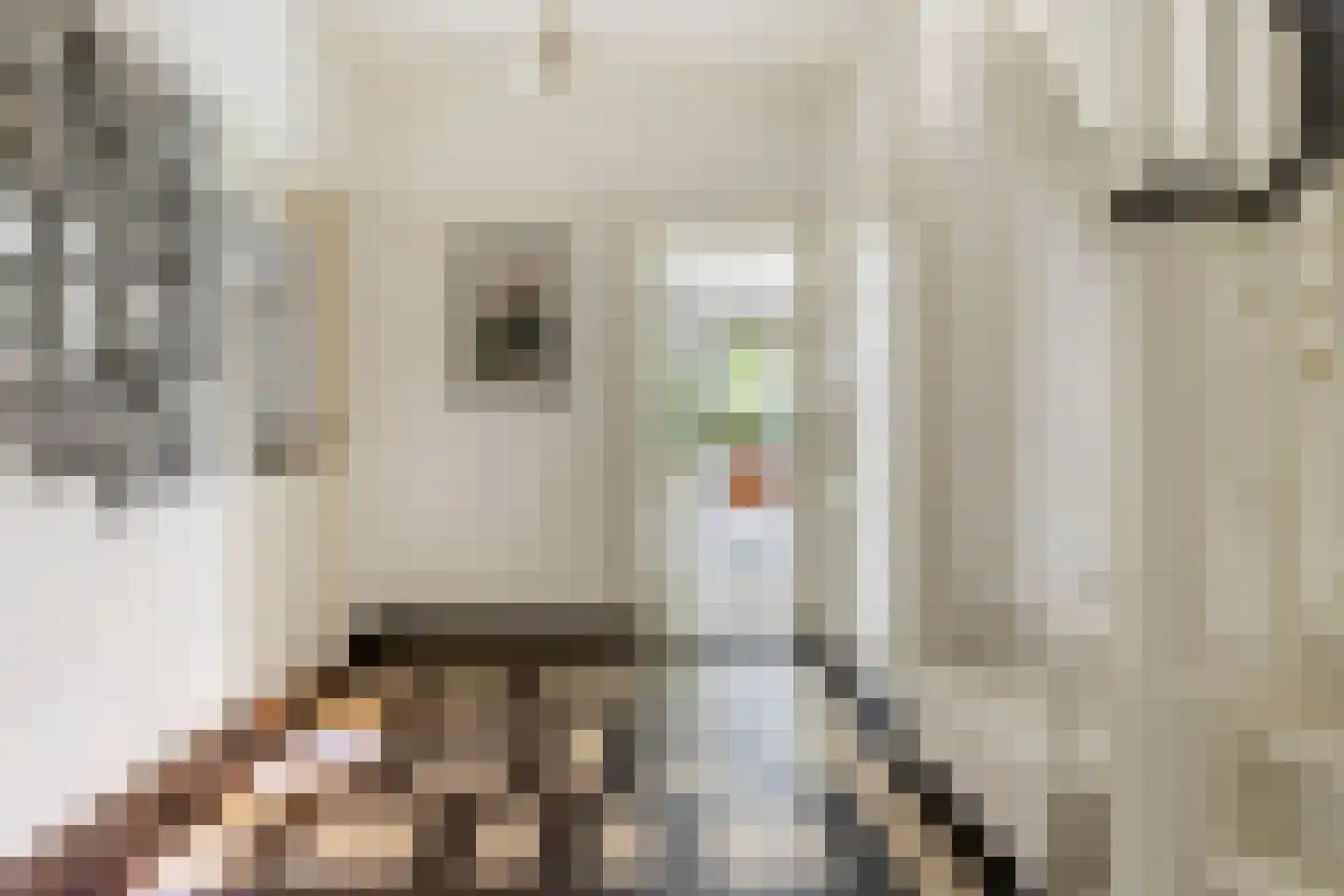 Van Pallandtstraat 43 Arnhem thumbnail 5