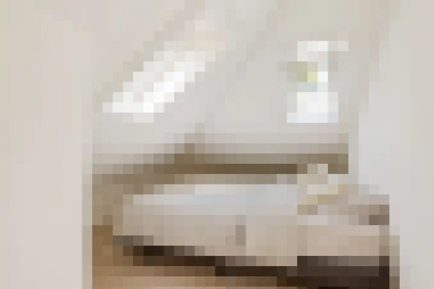 Van Pallandtstraat 43 Arnhem thumbnail 50