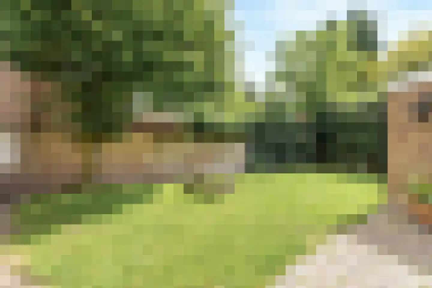 Van Pallandtstraat 43 Arnhem thumbnail 54