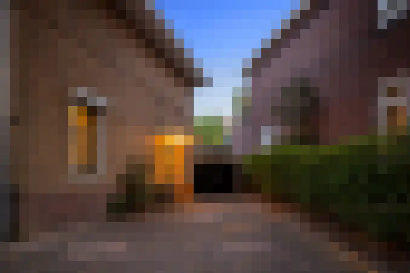 Van Pallandtstraat 43 Arnhem thumbnail 57