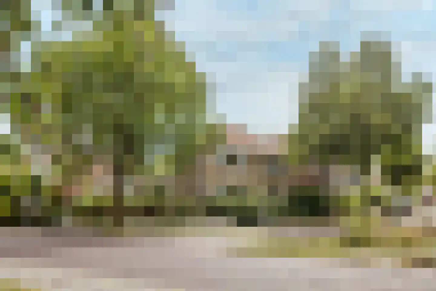 Van Pallandtstraat 43 Arnhem thumbnail 62