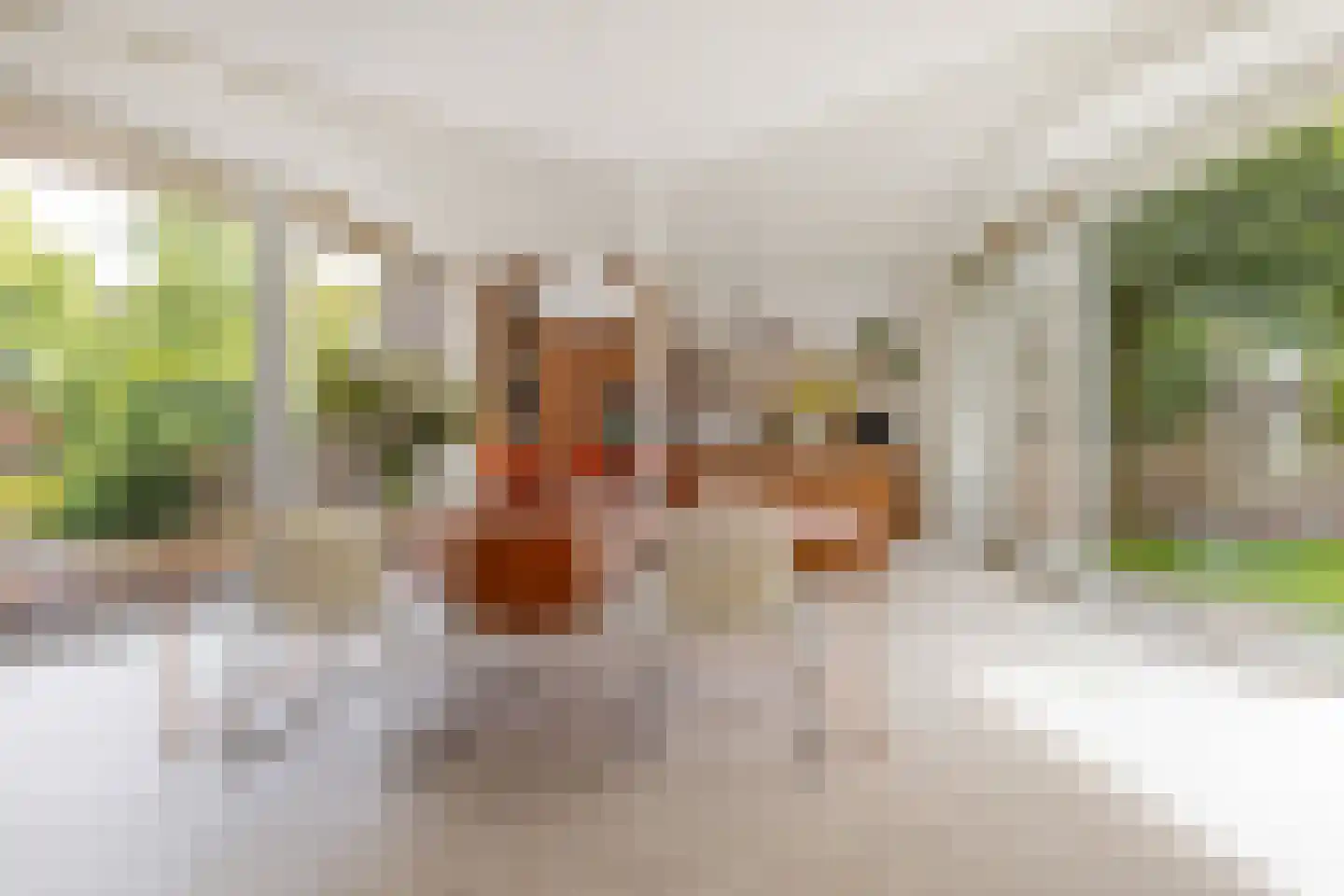 Van Pallandtstraat 43 Arnhem thumbnail 8