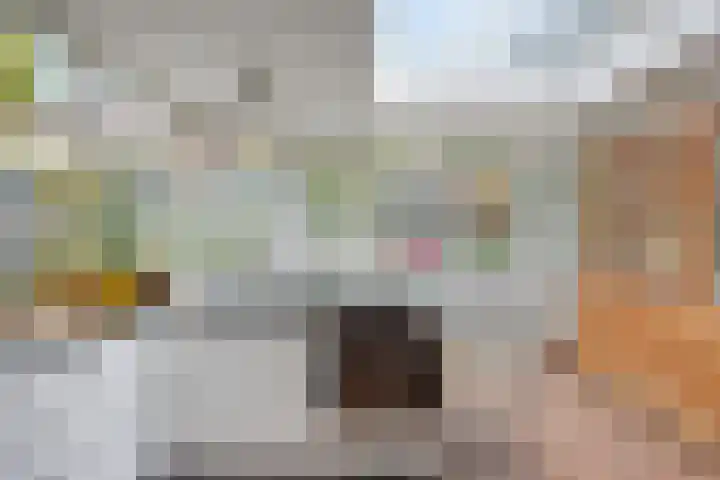van Pallandtstraat 6 Velp thumbnail 12