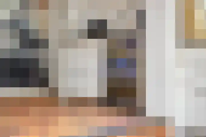 van Pallandtstraat 6 Velp thumbnail 17