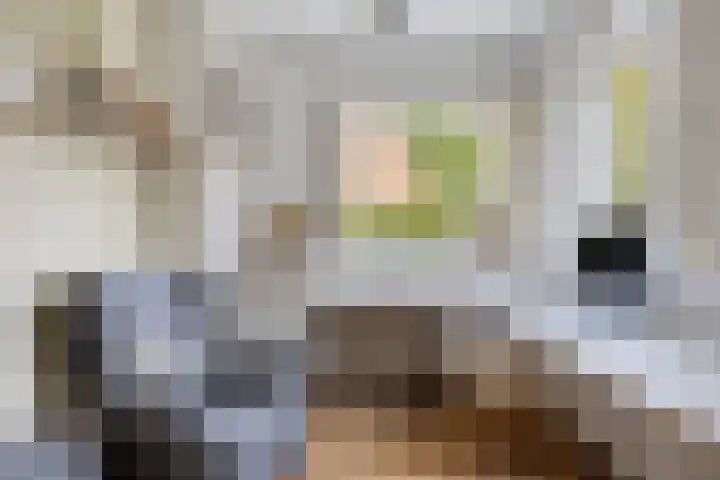 van Pallandtstraat 6 Velp thumbnail 18