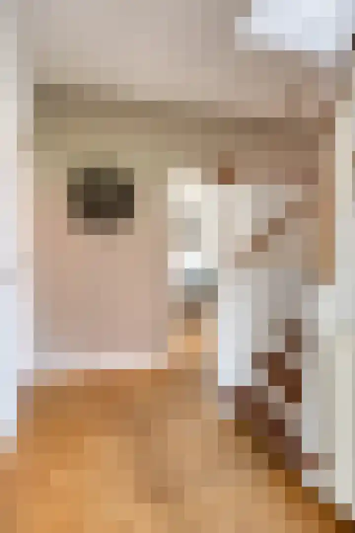 van Pallandtstraat 6 Velp thumbnail 22