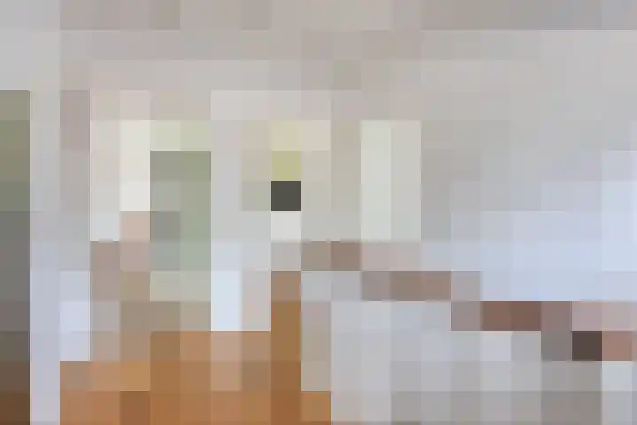van Pallandtstraat 6 Velp thumbnail 23