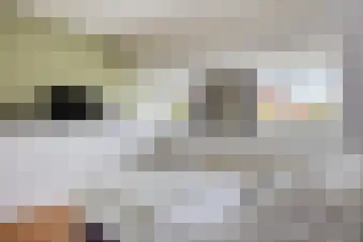 van Pallandtstraat 6 Velp thumbnail 26