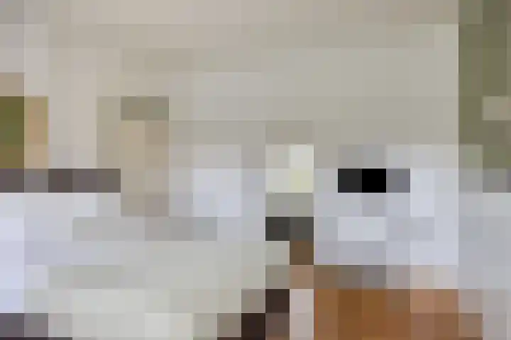 van Pallandtstraat 6 Velp thumbnail 27