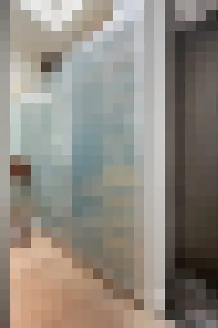 van Pallandtstraat 6 Velp thumbnail 28