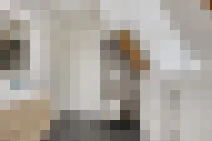 van Pallandtstraat 6 Velp thumbnail 30