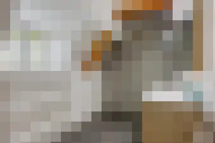 van Pallandtstraat 6 Velp thumbnail 31