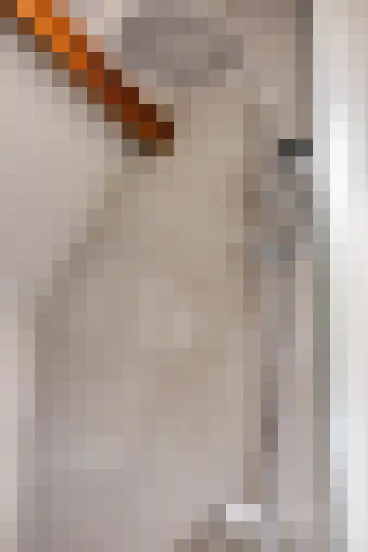 van Pallandtstraat 6 Velp thumbnail 33