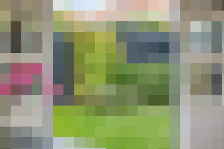 van Pallandtstraat 6 Velp thumbnail 37