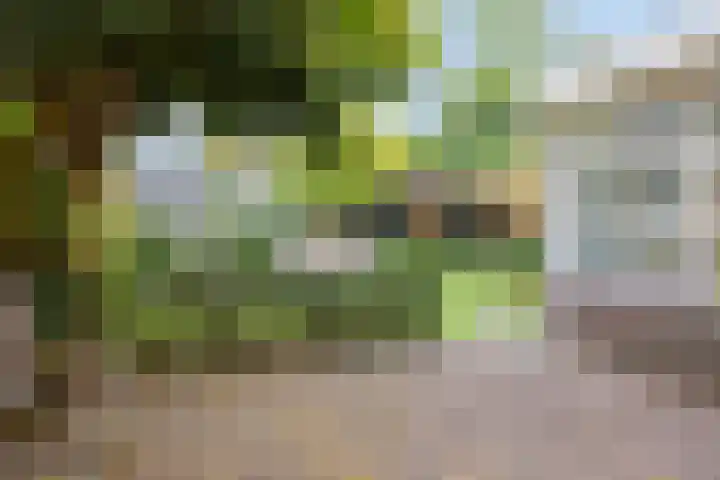 van Pallandtstraat 6 Velp thumbnail 38