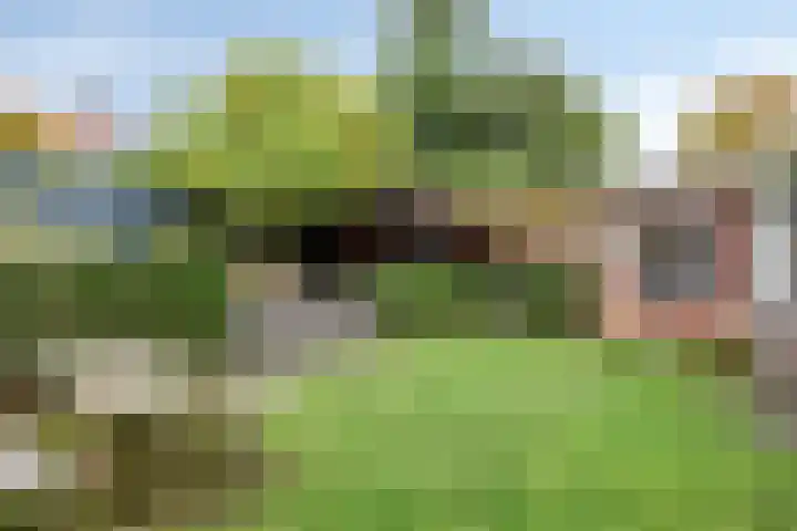 van Pallandtstraat 6 Velp thumbnail 39