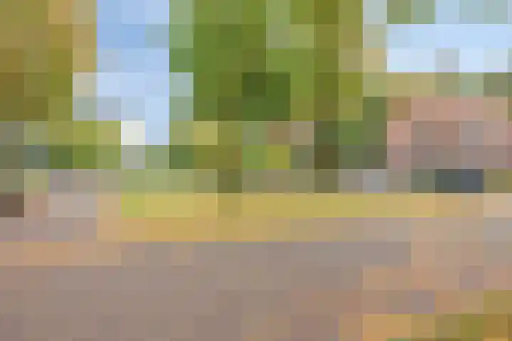 van Pallandtstraat 6 Velp thumbnail 48