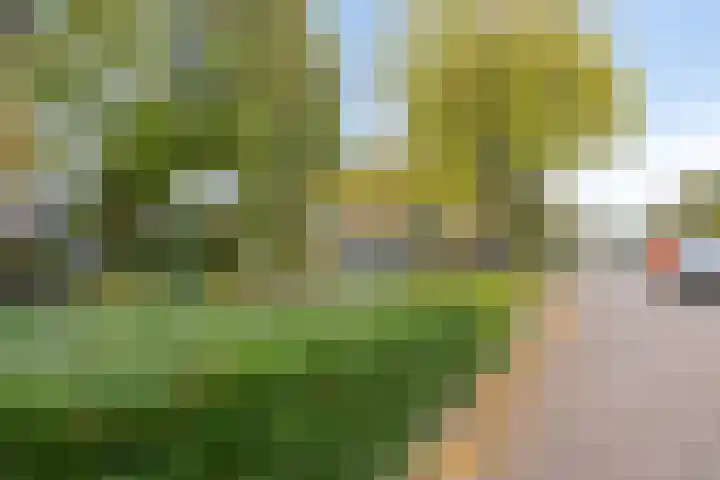 van Pallandtstraat 6 Velp thumbnail 49