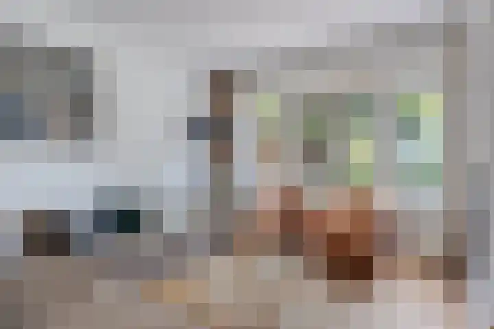 van Pallandtstraat 6 Velp thumbnail 8