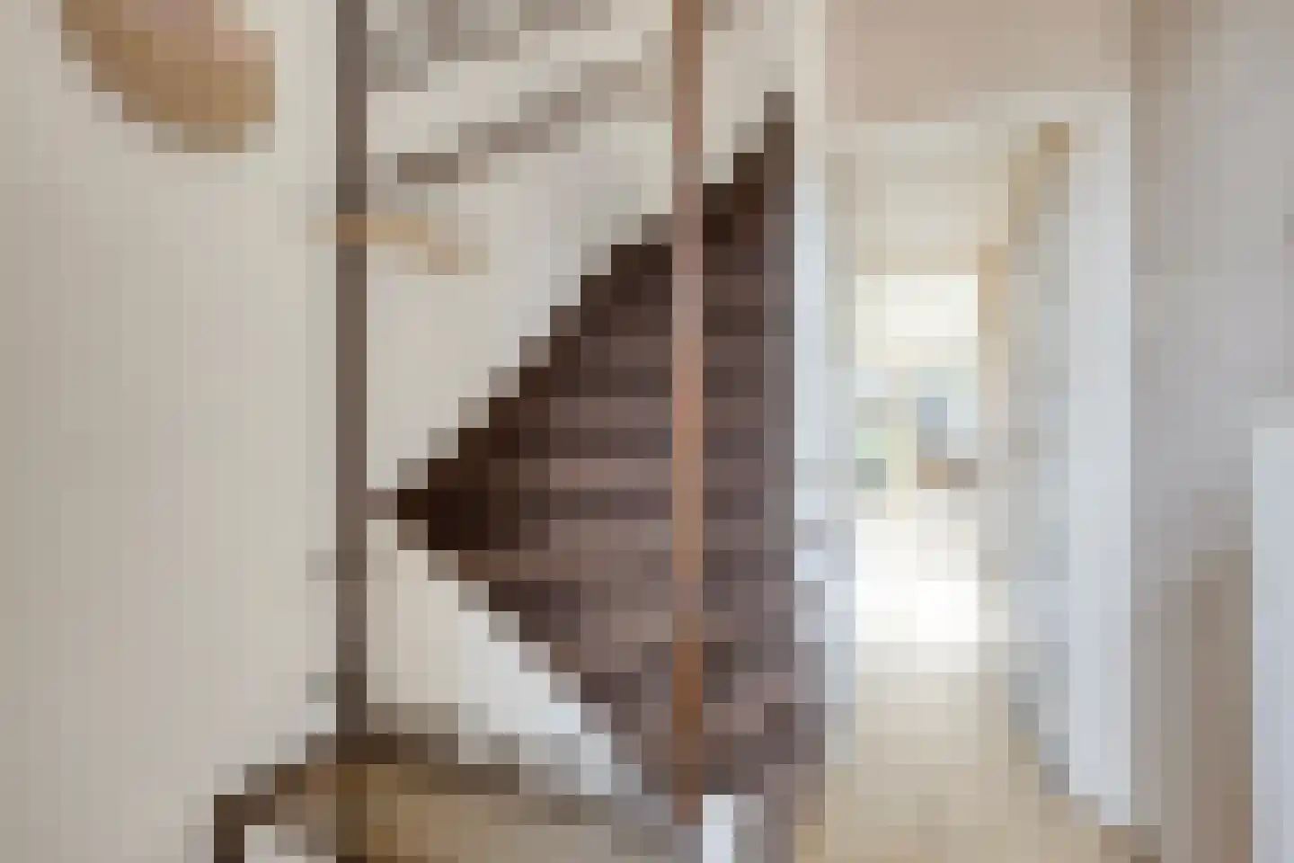 Van Pallandtstraat 7 Doesburg thumbnail 19