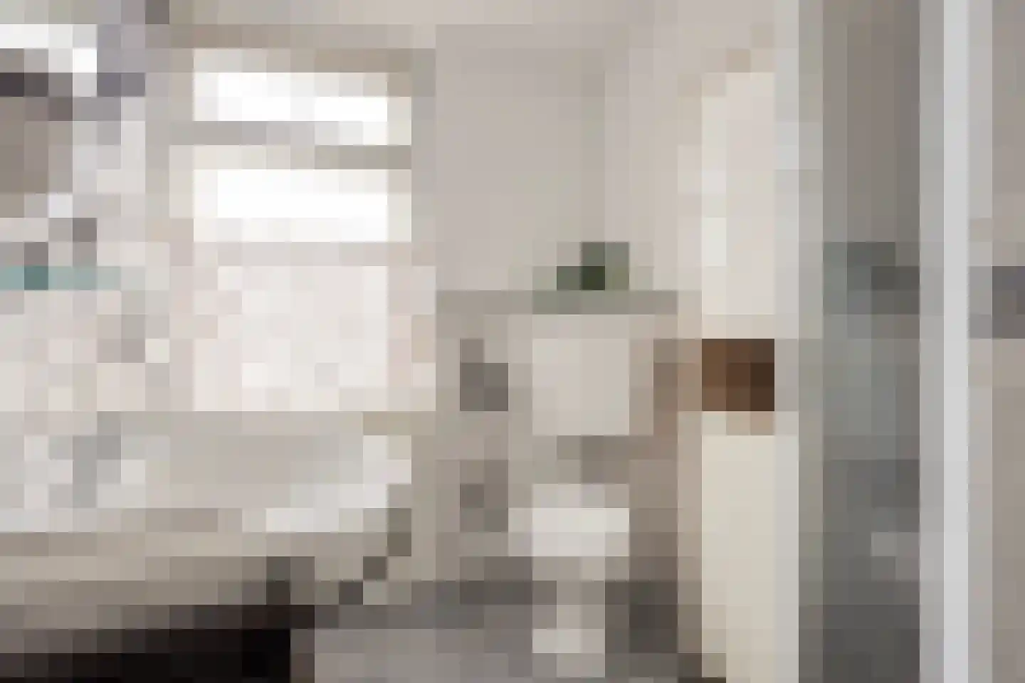 Van Pallandtstraat 7 Doesburg thumbnail 25