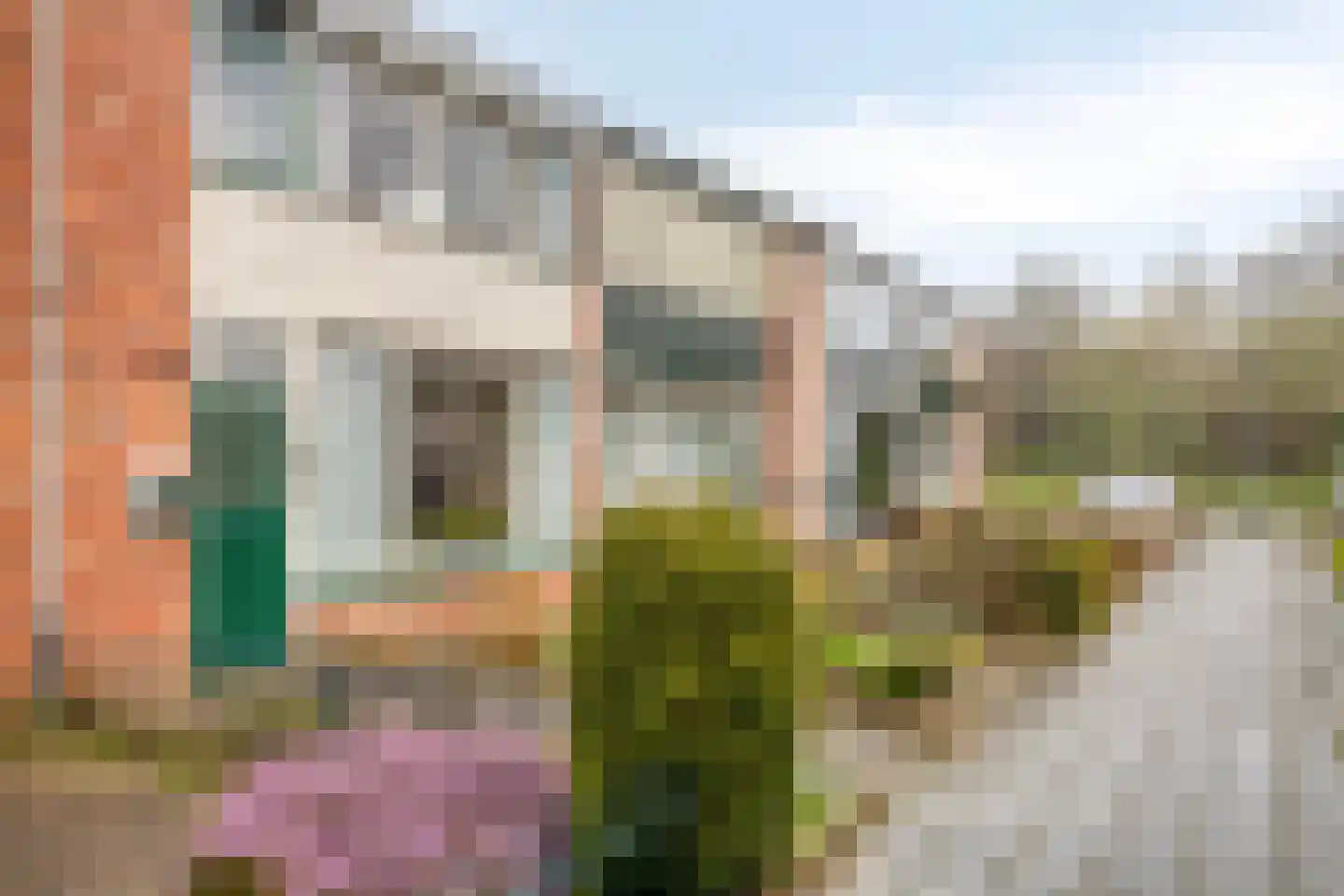 Van Pallandtstraat 7 Doesburg thumbnail 6