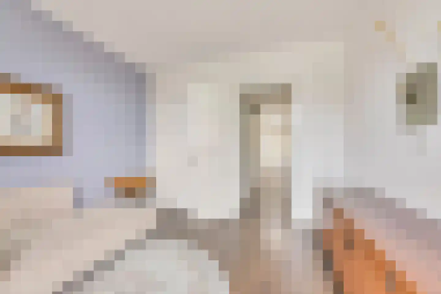 Van Pallandtstraat 76 Arnhem thumbnail 36