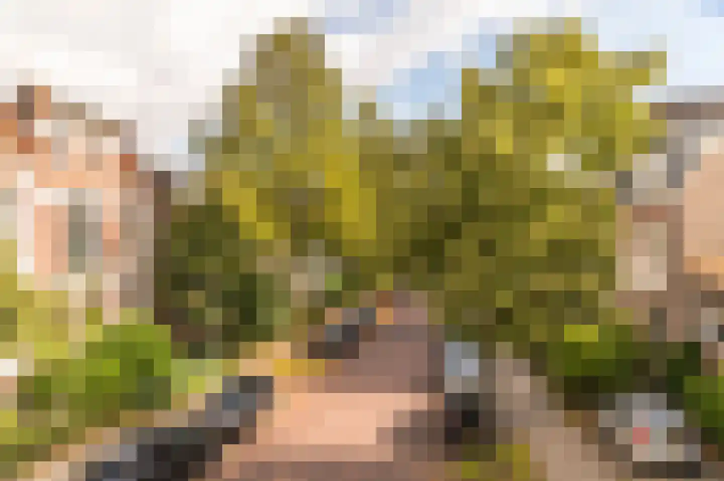 Van Pallandtstraat 76 Arnhem thumbnail 4