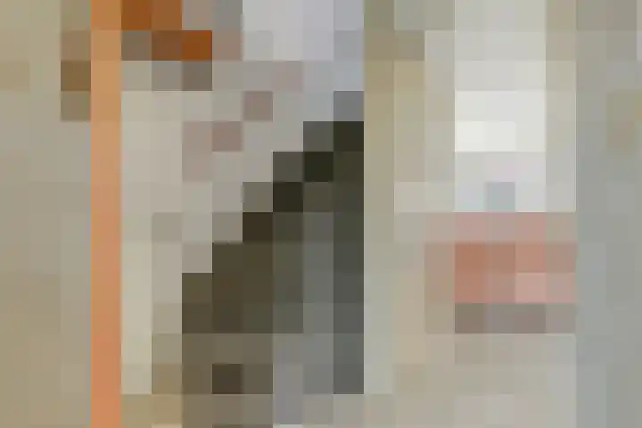 Van Pallandtvliet 10 Barendrecht thumbnail 21