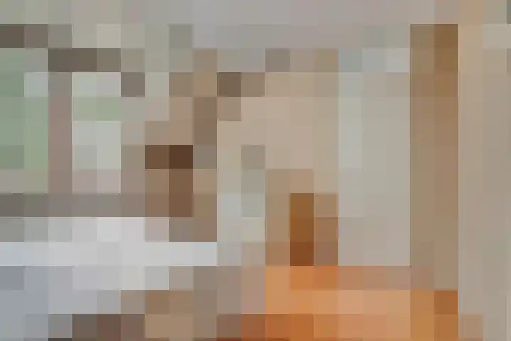 Van Pallandtvliet 10 Barendrecht thumbnail 23