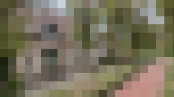 Van Pallandtvliet 10 Barendrecht thumbnail 36