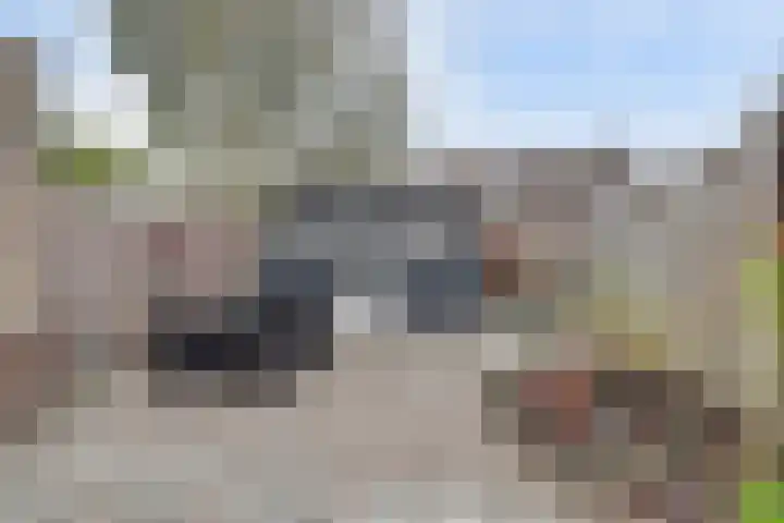 Van Pallandtvliet 10 Barendrecht thumbnail 9