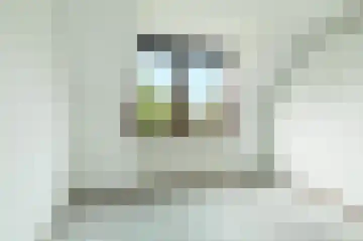 Van Pallandtvliet 16 Barendrecht thumbnail 20