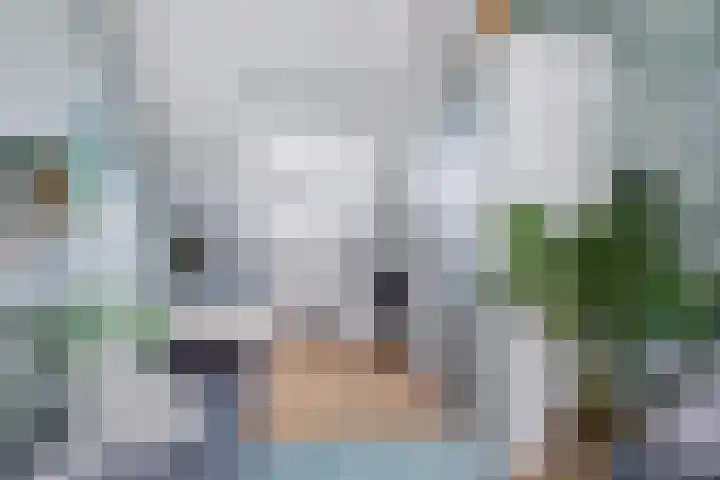 Van Pallandtvliet 20 Barendrecht thumbnail 17