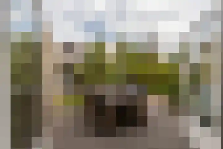 Van Pallandtvliet 20 Barendrecht thumbnail 27