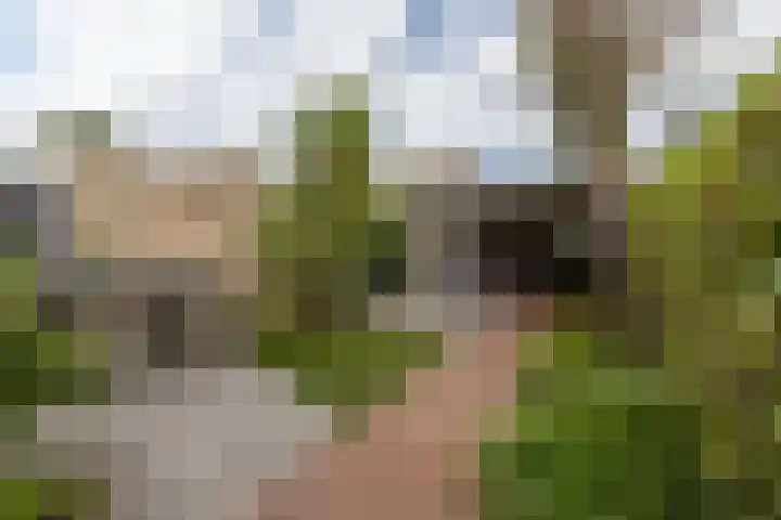 Van Pallandtvliet 20 Barendrecht thumbnail 28