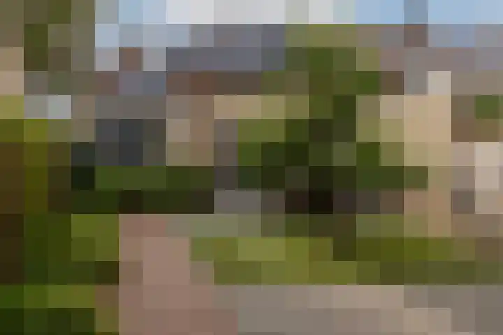 Van Pallandtvliet 20 Barendrecht thumbnail 30