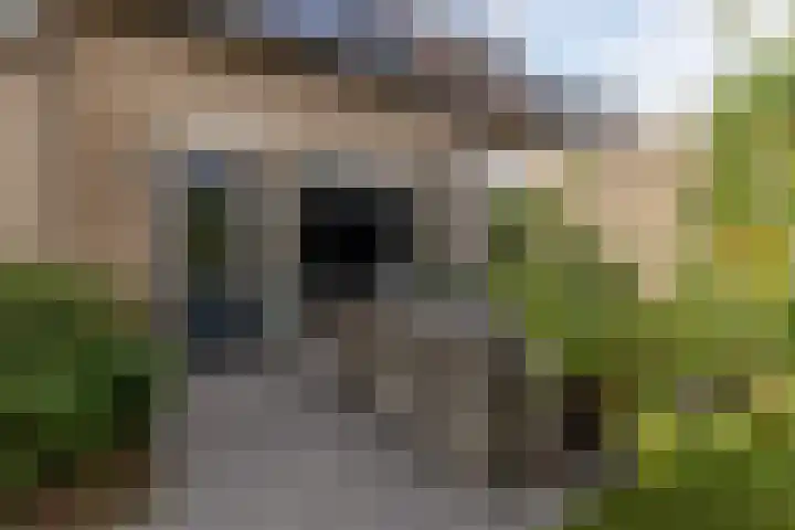 Van Pallandtvliet 20 Barendrecht thumbnail 31