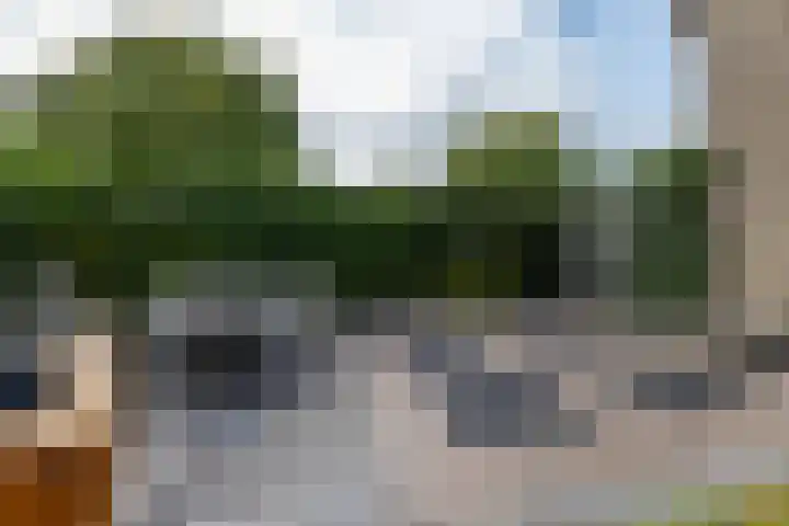 Van Pallandtvliet 20 Barendrecht thumbnail 32